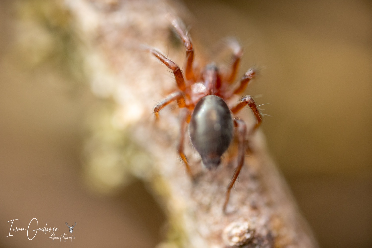 06 mei 2023 095254  R2A5407